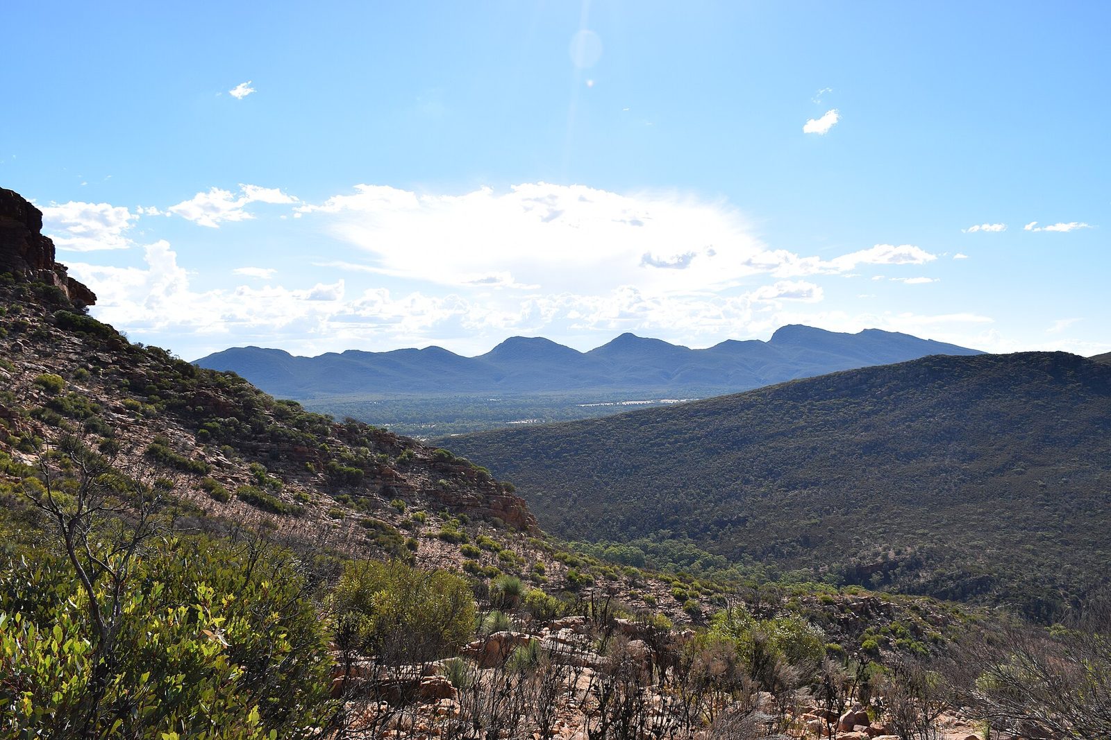 Flinders Ranges hunting country
