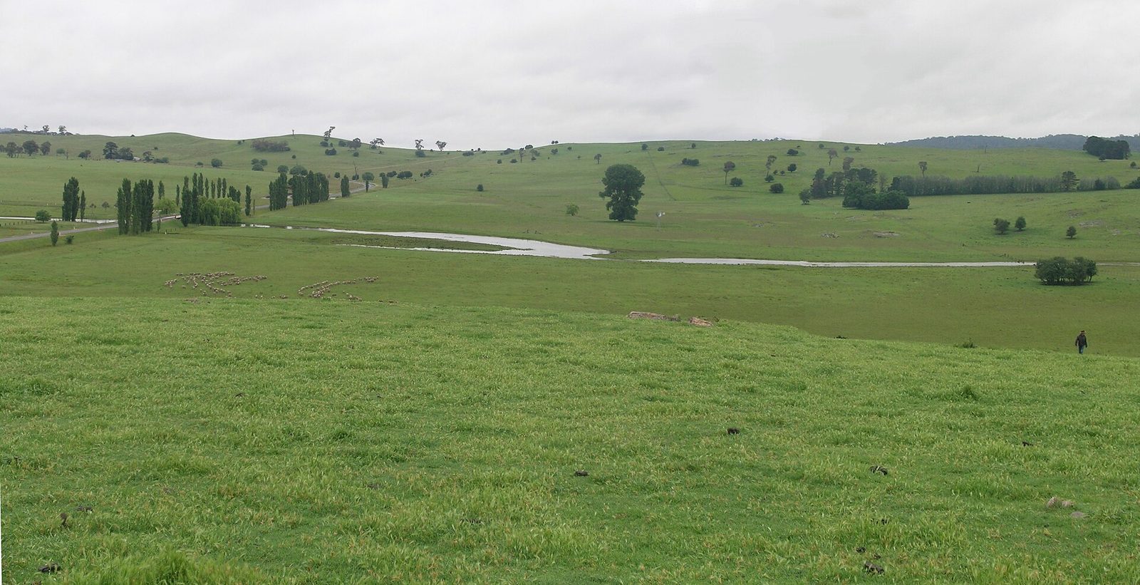 New England Tablelands hunting country